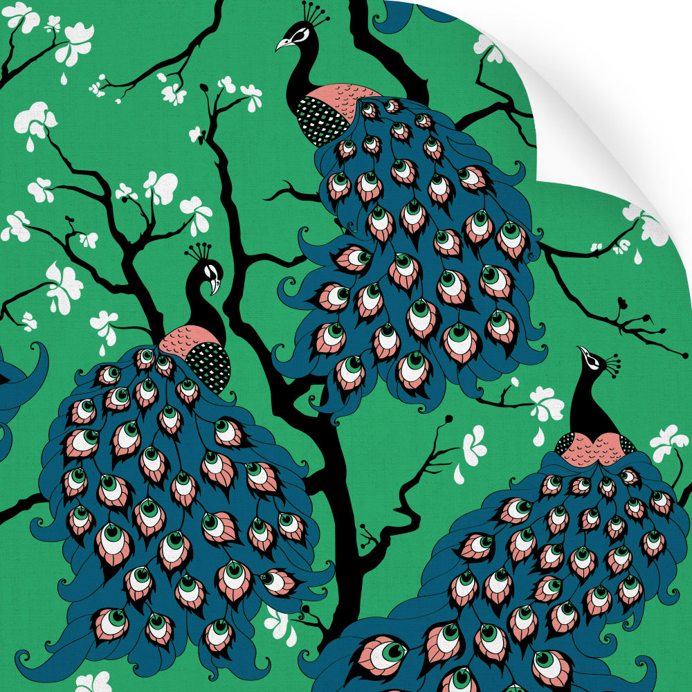 Peacock - Wallpaper