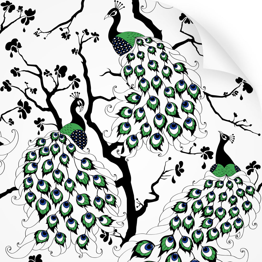 wallpaper swatch with peacock design, in colour