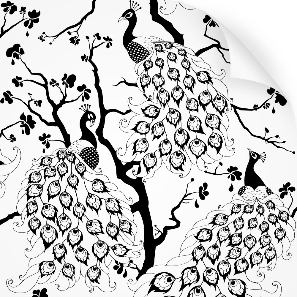 wallpaper swatch with peacock design, in black and white